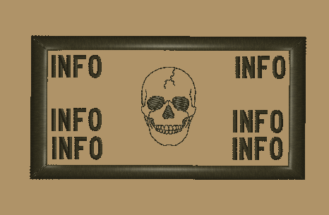 Patch-flak/ Skull